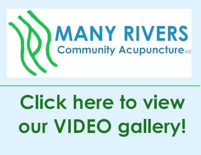 Click here to access our video gallery