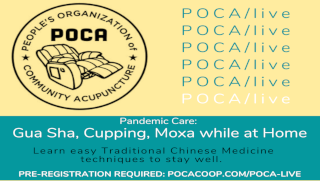 Pandemic Care FREE Live Webinar on May 19