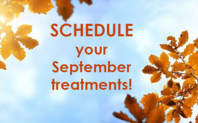 Our September schedule is OPEN!