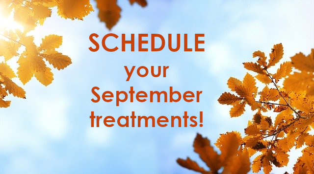 Our September schedule is OPEN!