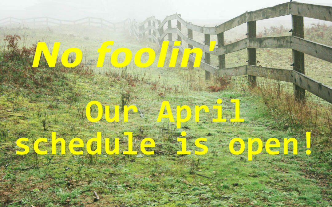 Our April schedule is open