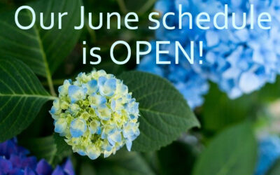 Our June schedule is OPEN!