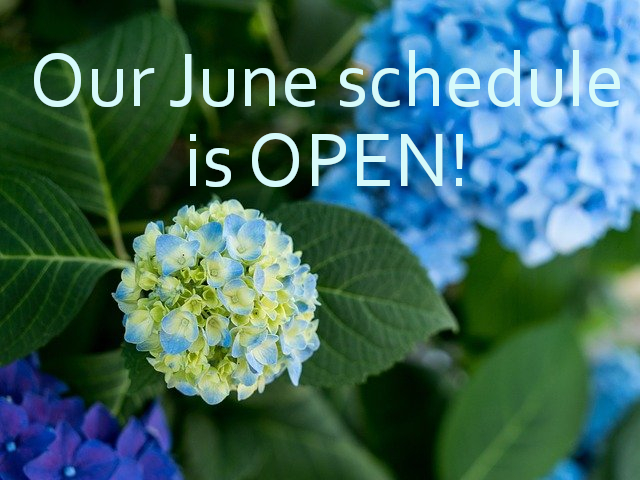 Our June schedule is OPEN!