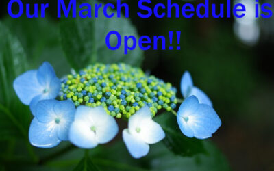 Our March schedule is open