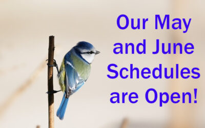 Our May and June schedules are open