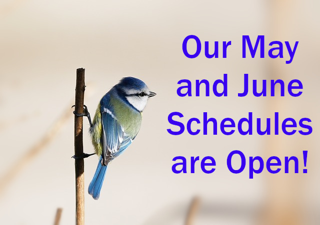 Our May and June schedules are open