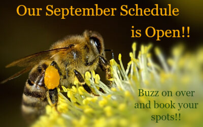 Our September schedule is open