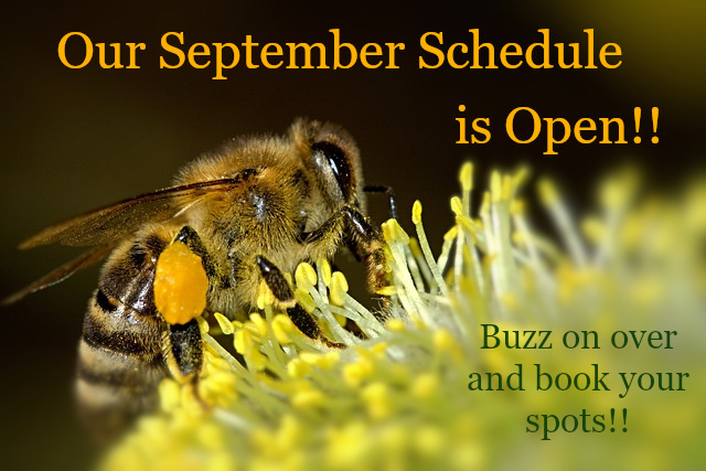 Our September schedule is open