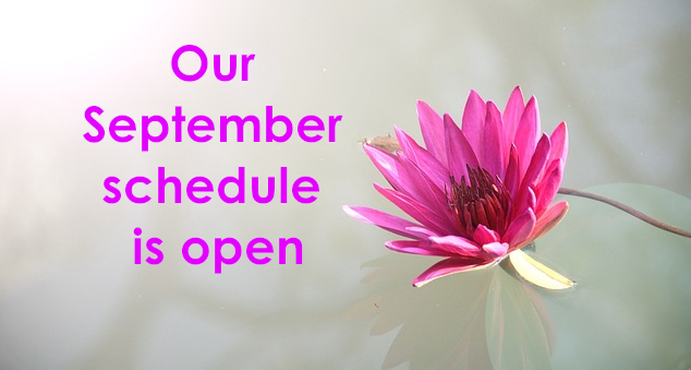 Our September 2024 schedule is open