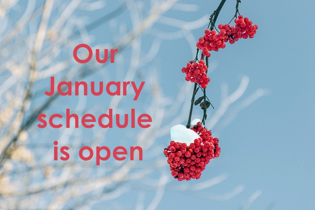 Our January 2025 schedule is open