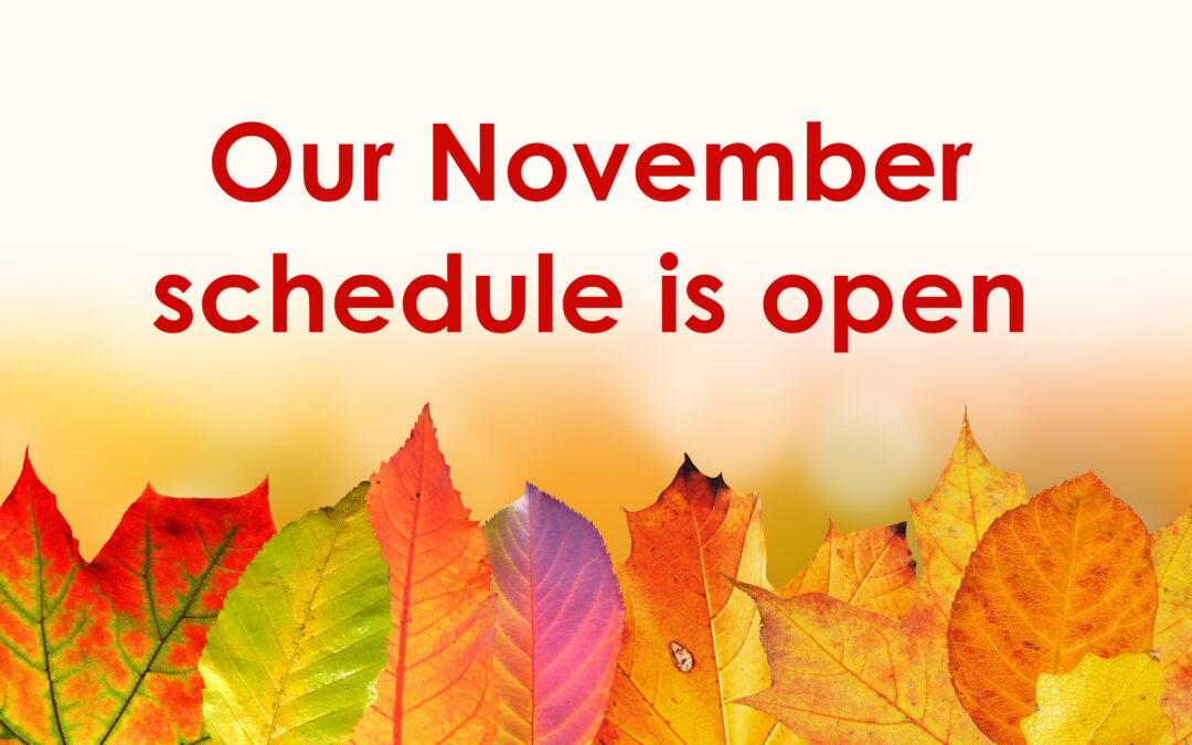 Our November schedule is open