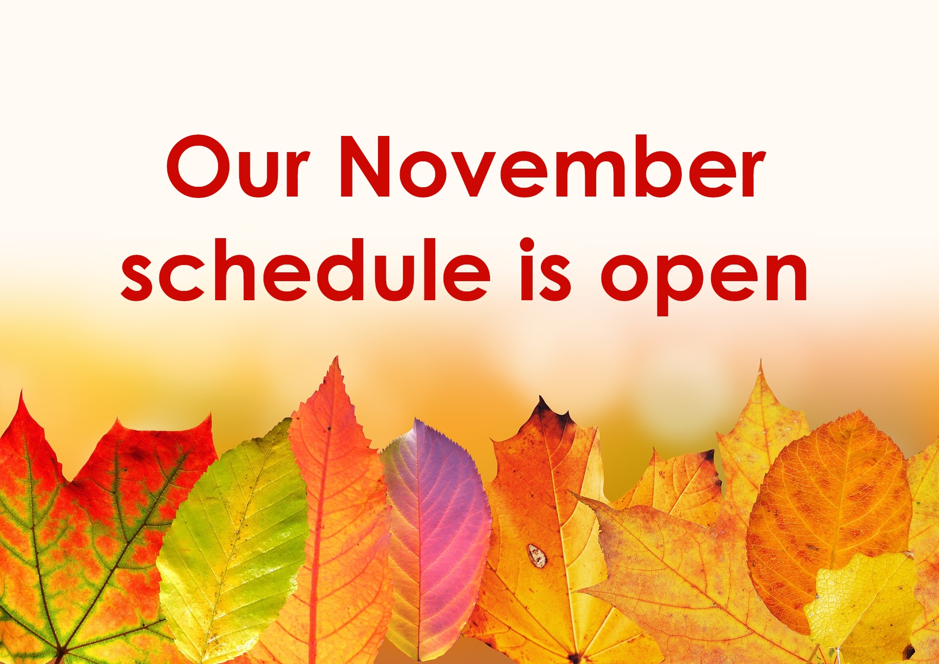 Our November schedule is open